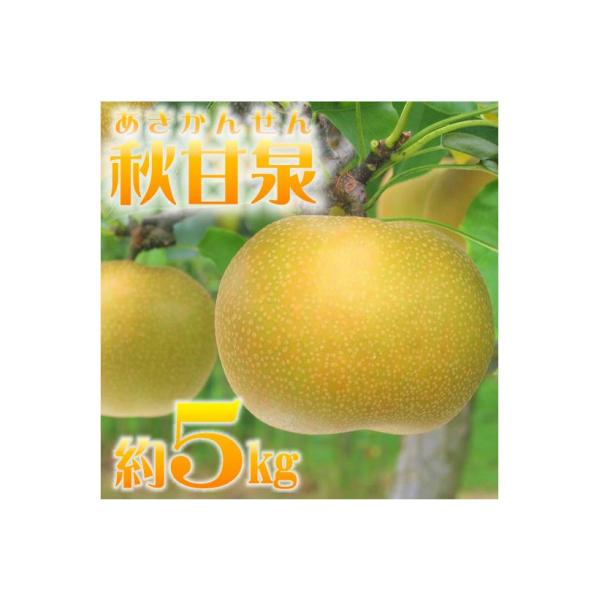 鳥取県産梨「秋甘泉(あきかんせん)」(5kg)