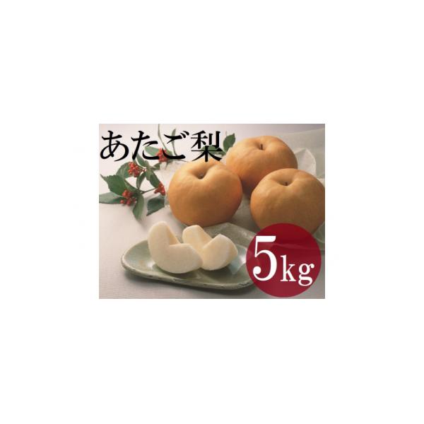鳥取県産梨『あたご梨』 5kg