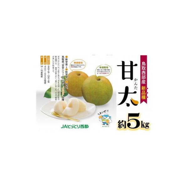 鳥取県産梨『甘太(かんた)梨』5kg