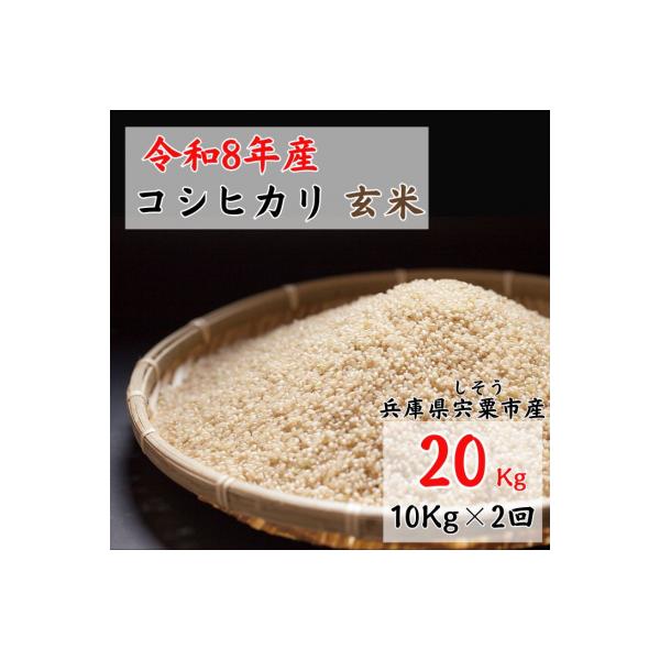 【 令和8年産 新米 受付開始 】しそうのおいしい お米 コシヒカリ 玄米 20kg　X1