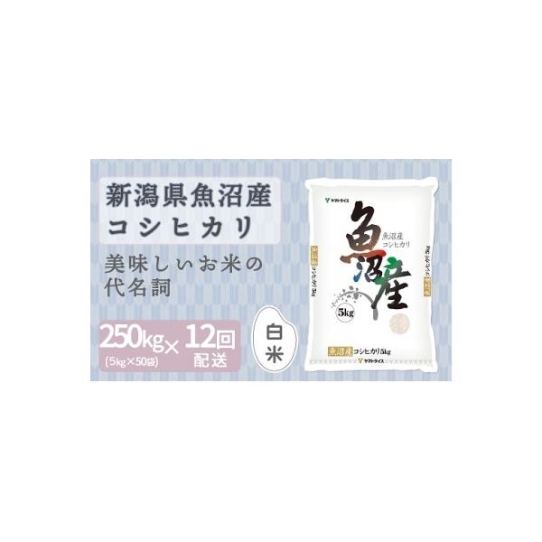 碧南市 その他食品 ふるさと納税 安心安全なヤマトライス 新潟魚沼産コシヒカリ5kg 50袋 お礼品詳細 定期便12回 H074 143 食品 3033312 さとふる