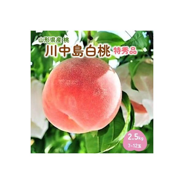 桃(川中島白桃)2.5kg　特秀品　0047-2605