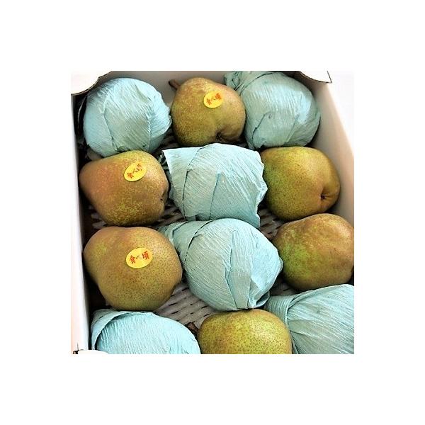 ふるさと納税 洋梨 さとふる ふるさと納税 上山市 食品 西洋梨 ラ フランス 6kg ご家庭用 0075 09