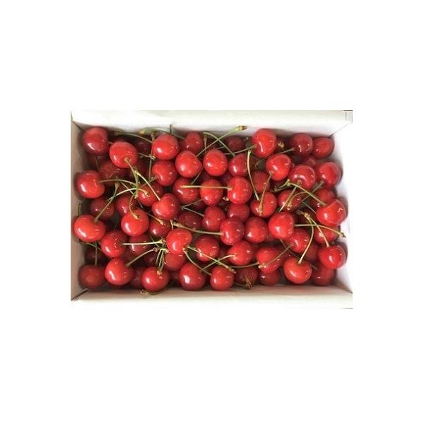 ふるさと納税 さくらんぼ お礼品詳細 さくらんぼ 佐藤錦 700g 特秀品 0078 07 上山市