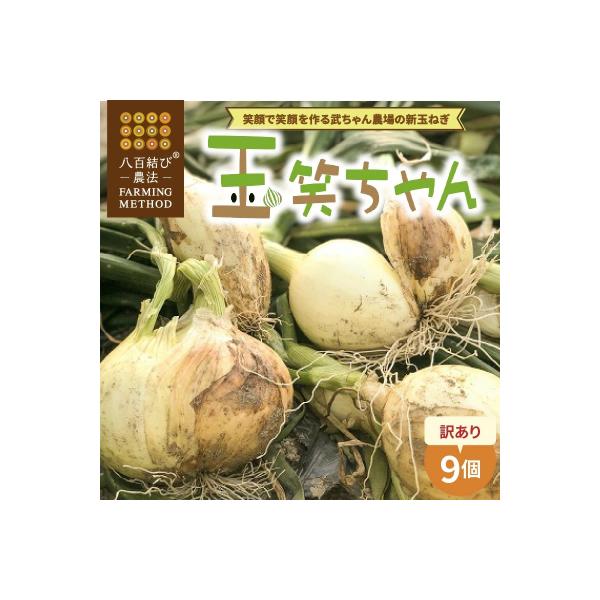 ■お礼品詳細　・内容量：9個(約3kg)　・配送方法：常温　・消費期限：発送日から7日〜10日　・事業者：武ちゃん農場　・提供元：碧南市■お申し込み・配送・その他　・発送時期：2026年4月から5月に発送※期間中のお申込みは、決済から3週間...