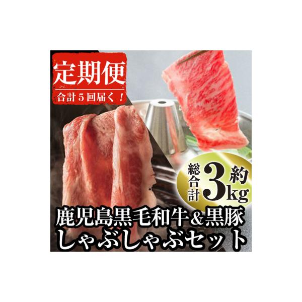 【毎月届くわくわく定期便】鹿児島県産黒毛和牛黒豚しゃぶセット合計5回[2]
