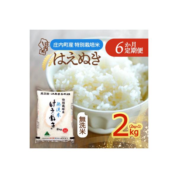 【6か月定期便】庄内米 特別栽培米はえぬき無洗米2kg【8月中旬発送】