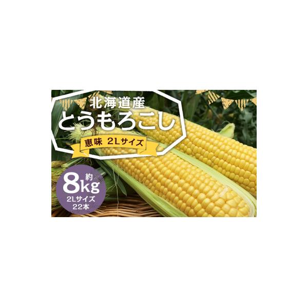 北海道産とうもろこし(恵味)2Lサイズ22本山田農場