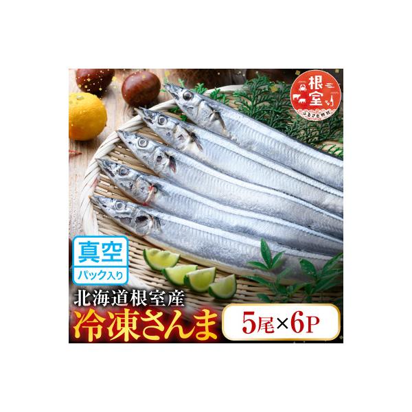 【北海道根室産】冷凍さんま30尾 B-36005
