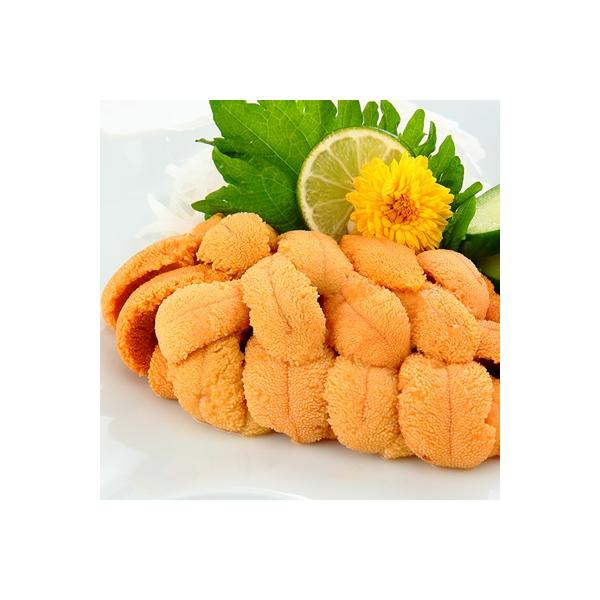 ムラサキウニ塩水パック100～110g×2P B-81007
