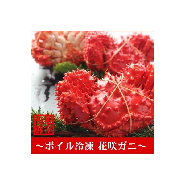 【北海道根室産】花咲ガニ410～560g×4尾 A-57005