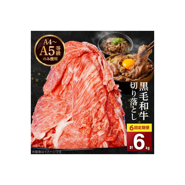 【定期便6回】A4～A5等級 黒毛和牛切り落とし1kg(500g×2P)_S001-001-T06A