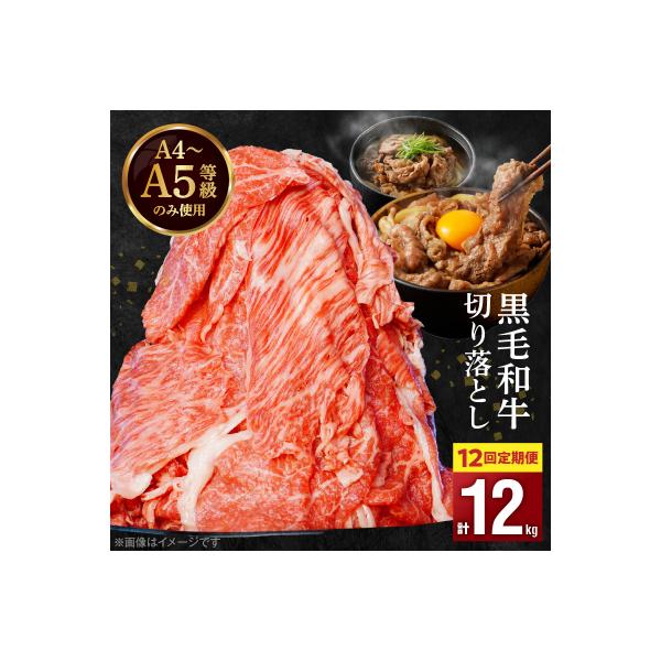 定期便12回 A4～A5等級 黒毛和牛切り落とし1kg(500g×2P)_S001-001-T12A