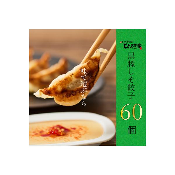 かごしま黒豚しそ餃子60個(タレ付)
