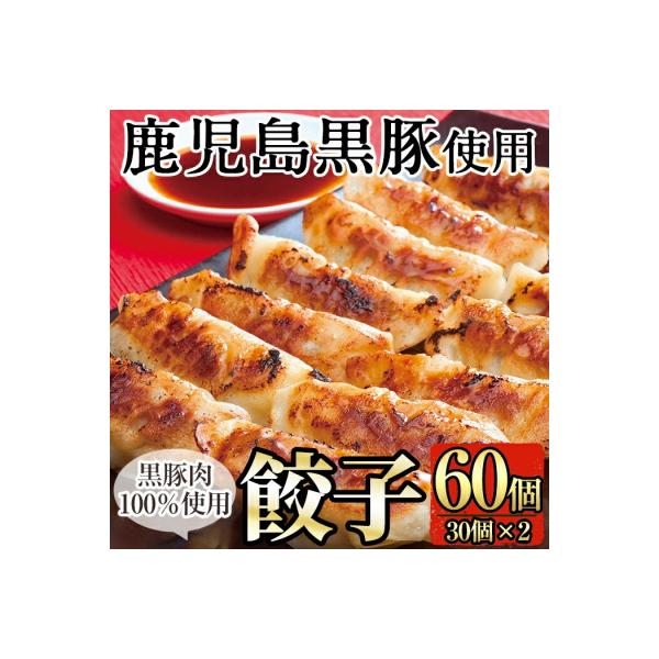 鹿児島黒豚餃子60個(30個×2)【九面屋】A-109