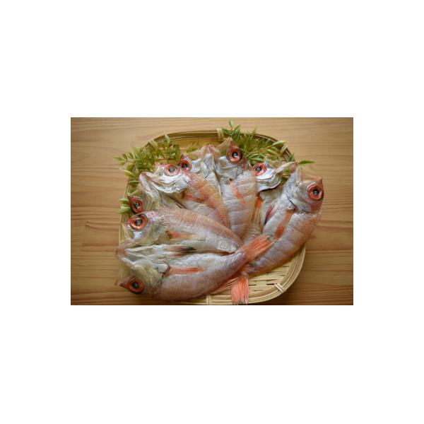 のどぐろ開干(大-中サイズ/2尾-4尾)