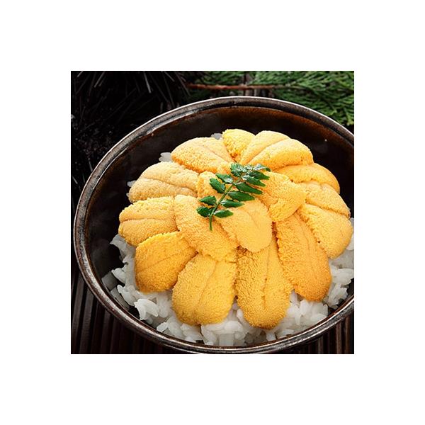 ムラサキウニ塩水パック110～120g×2P B-24008