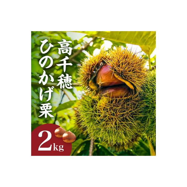 高千穂・ひのかげくり(9月限定)