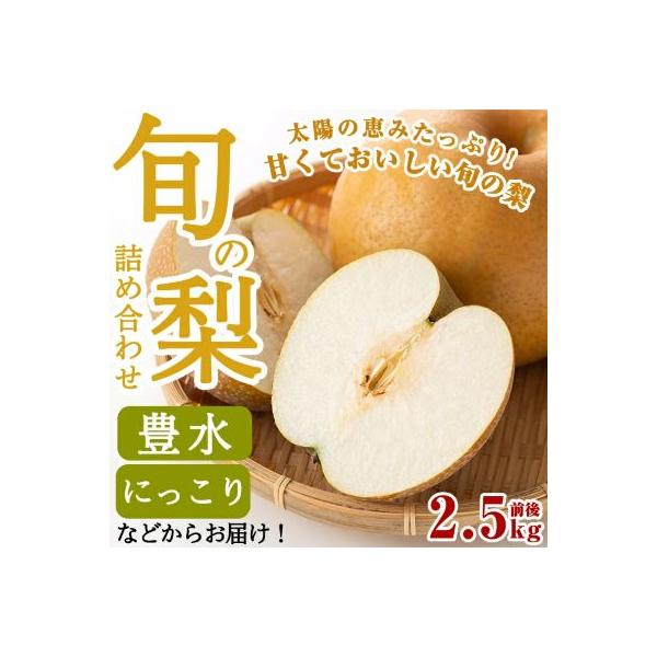 <先行受付中>梨詰め合わせ(約2.5kg前後)【さくら農園】　A-138