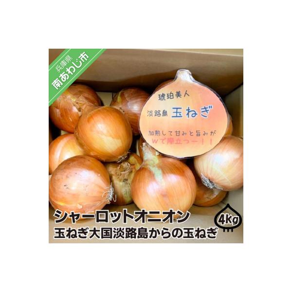 淡路島極熟玉葱4kg　シャーロットオニオン　玉ねぎ大国淡路島からの玉ねぎ