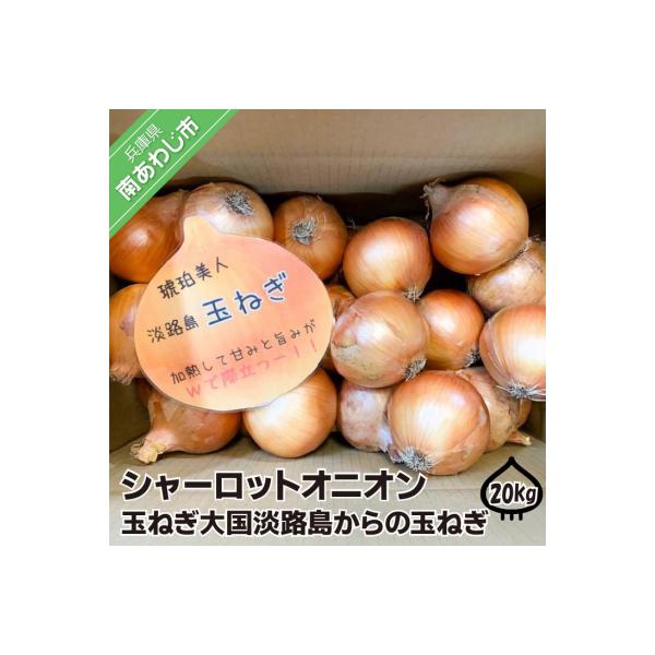 淡路島極熟玉葱20kg　シャーロットオニオン　玉ねぎ大国淡路島からの玉ねぎ