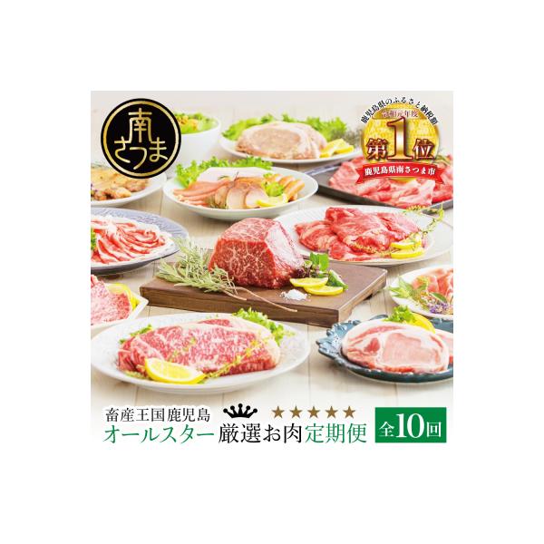 【定期便 全10回】オールスター厳選お肉定期便 牛肉・豚肉・肉加工品
