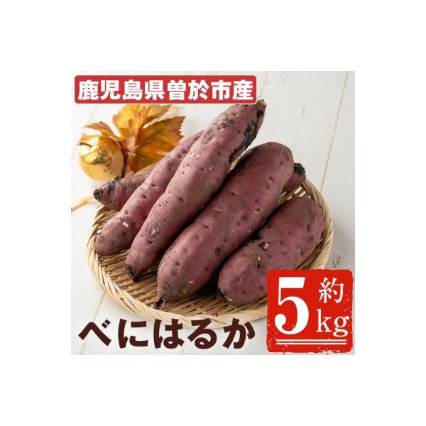 【先行受付】鹿児島県産　紅はるか5kg
