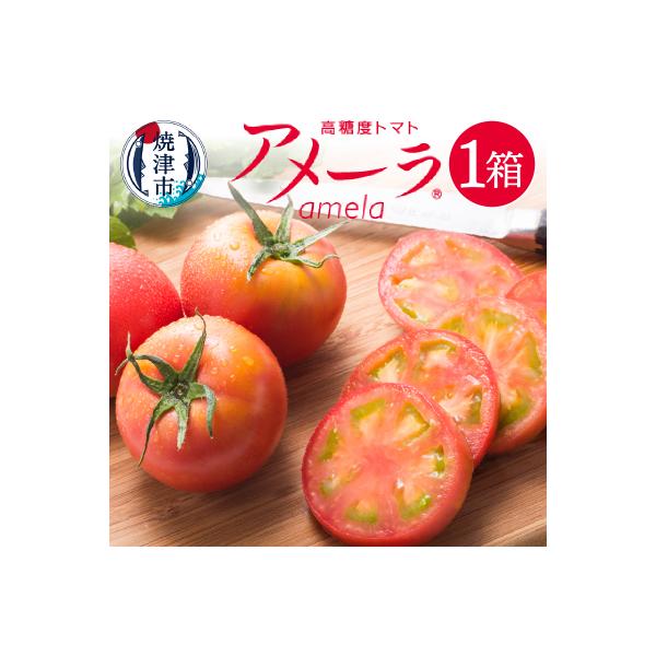 ■お礼品詳細　・提供元：焼津市■お申し込み・配送・その他　・発送時期：入金確認後1〜5週間程度※異なる場合は説明文に記載しております。必ず注意事項をご確認ください。※年末年始やお申込状況によっては発送までにお時間を頂戴いたします。※お礼品発...