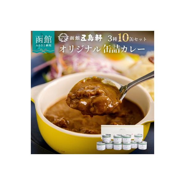 五島軒　オリジナル缶詰カレー10缶ギフト_HD030-010