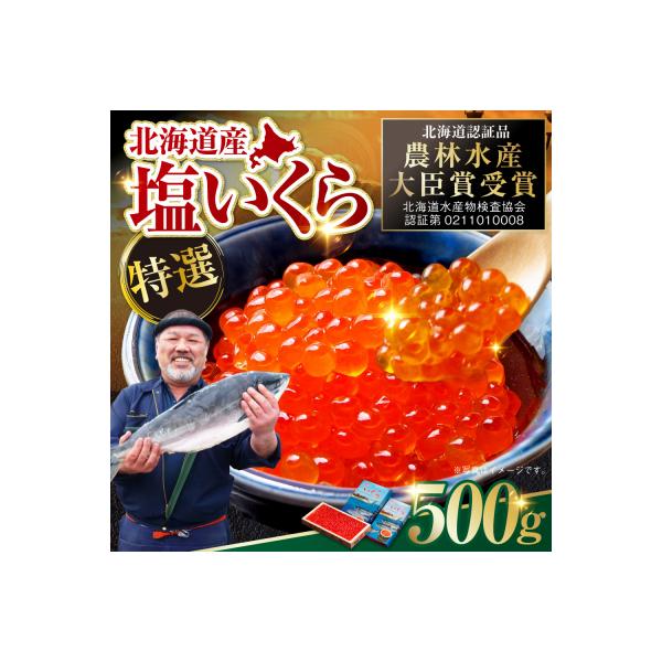【 北海道産 】 マルア阿部商店特選 塩 いくら 500g ふるさと納税