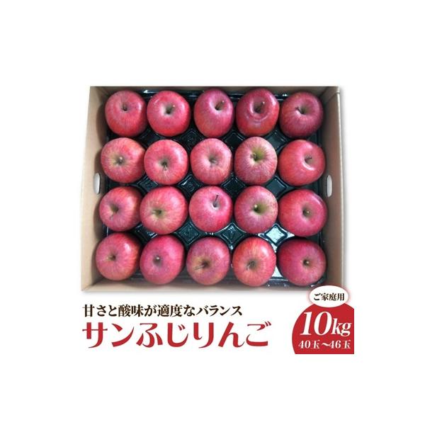 りんご(サンふじ)10kg　40～46玉　ご家庭用　0056-2624