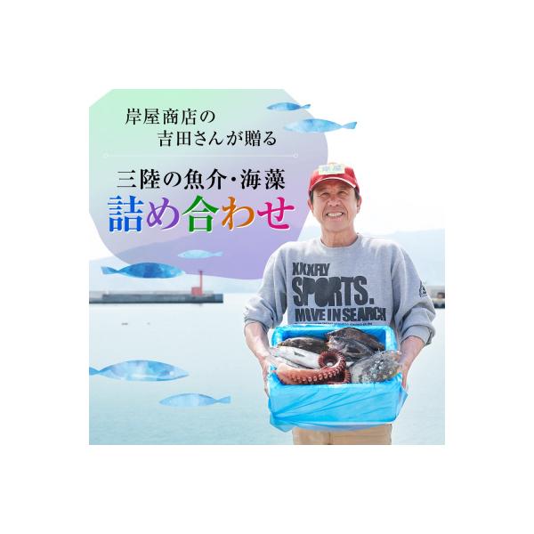 【厳選】三陸海の恵み詰め合わせ【下処理済】(4～5人用) 魚 鮮魚 海鮮 貝 天然 刺身 旬 三陸産