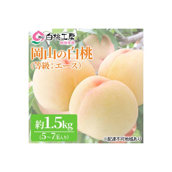 桃 白桃 等級 エース 約1.5kg 5～7玉入り もも 果物 2026年[NO5765-0525]
