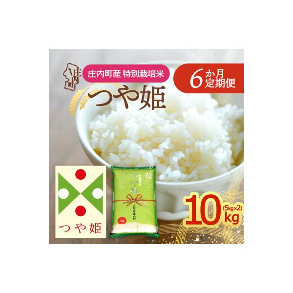 【定期便】<令和8年産>つや姫 5kg×2袋×6ヶ月 毎月 10kg 精米【11月下旬発送】