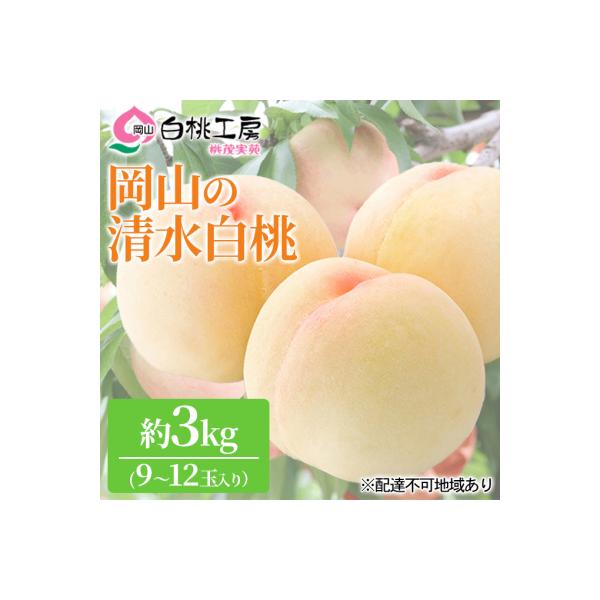 桃 清水 白桃 3kg 9～12玉 もも フルーツ 果物 岡山 2026年[NO5765-0542]