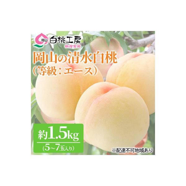 桃 清水 白桃 等級 エース 約1.5kg 5～7玉入り もも 2026年[NO5765-0545]