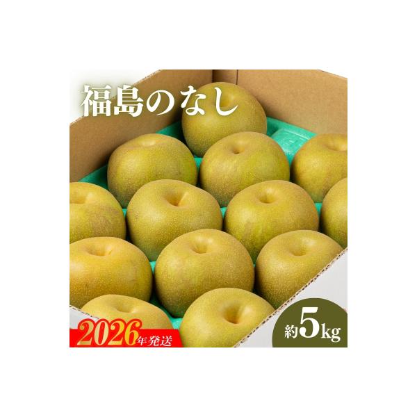 ■お礼品詳細　・事業者：株式会社幸青果　・内容量：約5kg　・賞味期限：発送日+５日　・配送方法：常温便　・提供元：福島市■お申し込み・配送・その他　・発送時期：8月下旬から9月下旬発送予定　・申込受付期間：2026年8月14日まで　・配達...