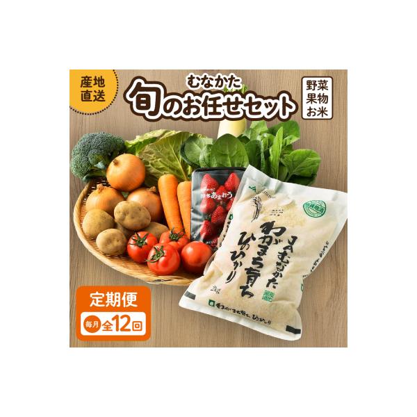 【定期便/年12回/毎月お届け】むなかた旬のお任せセット【ほたるの里】_HB0029