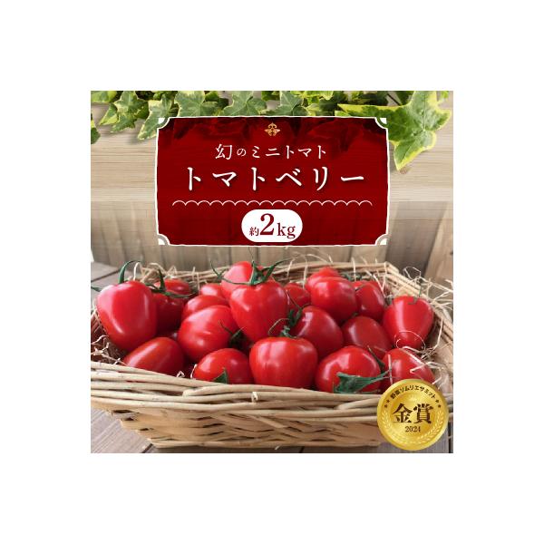 【事前受付】2kg甘さ抜群!トマト嫌いでも食べられるトマトベリー 4月～6月発送 　H004-196