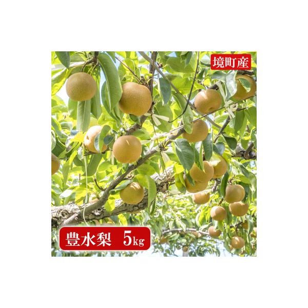 ◎豊水◎ 【30件限定追加】●生育が良好のため● さかいの豊水梨 5kg (限定230箱)
