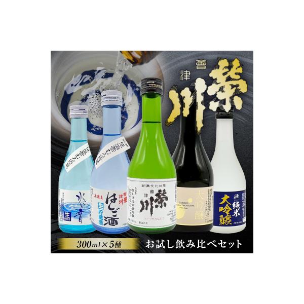 【先行受付】【栄川酒造】日本酒飲み比べセット(300ml×5本) F4D-0085