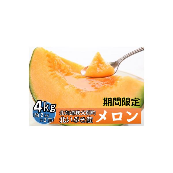 令和8年産 赤肉メロン2玉【E-03】
