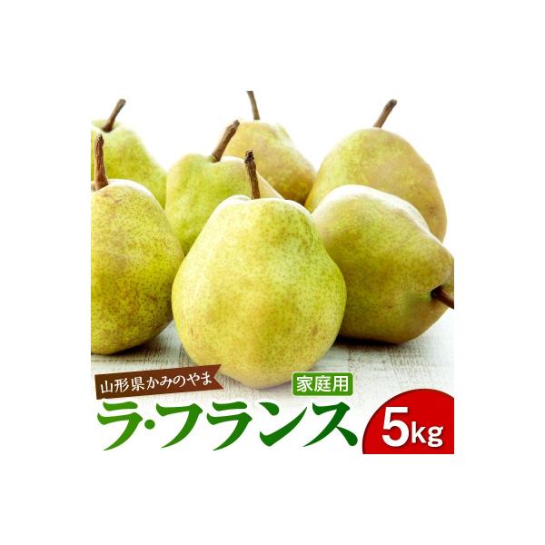 西洋梨(ラフランス)5kg　ご家庭用　0110-2604