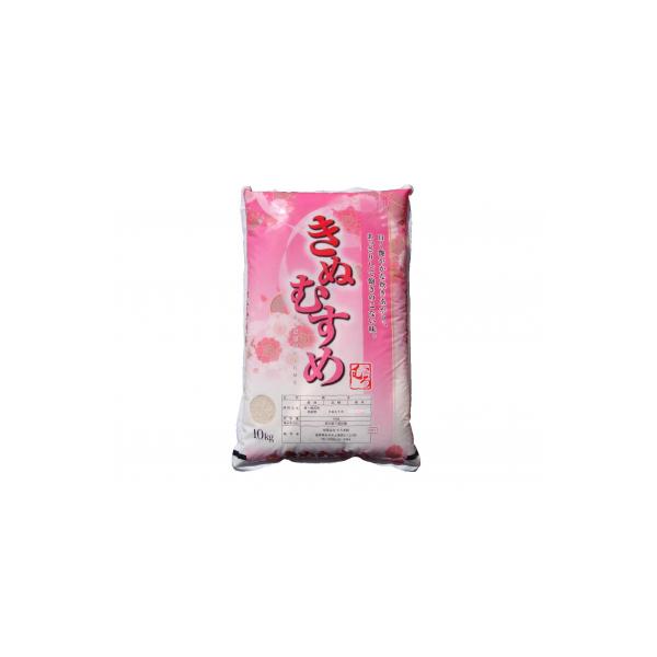 令和7年度 きぬむすめ10kg(精白)