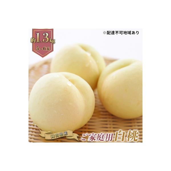 ご家庭用 岡山の 白桃 早生種 5～6玉 合計約1.3kg 岡山県産 [No.5735-0885]