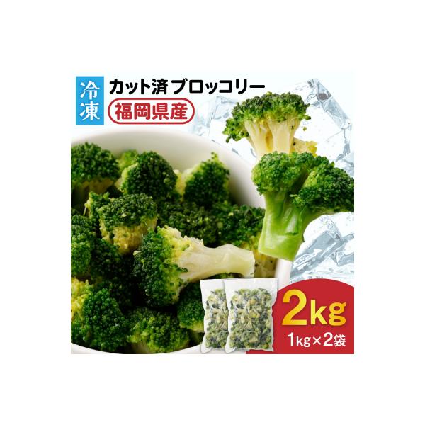JAむなかたブロッコリー部会より!冷凍ブロッコリー2kg(1kg×2袋)【ほたるの里】_HA0622