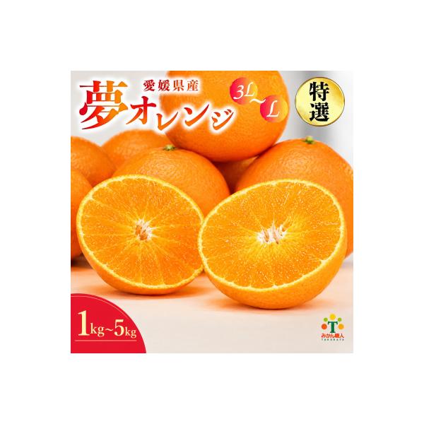 【紅まどんな と同品種】【特選品】みかん職人の夢オレンジ 3kg 夢おれんじ 愛媛 みかん職人武田屋