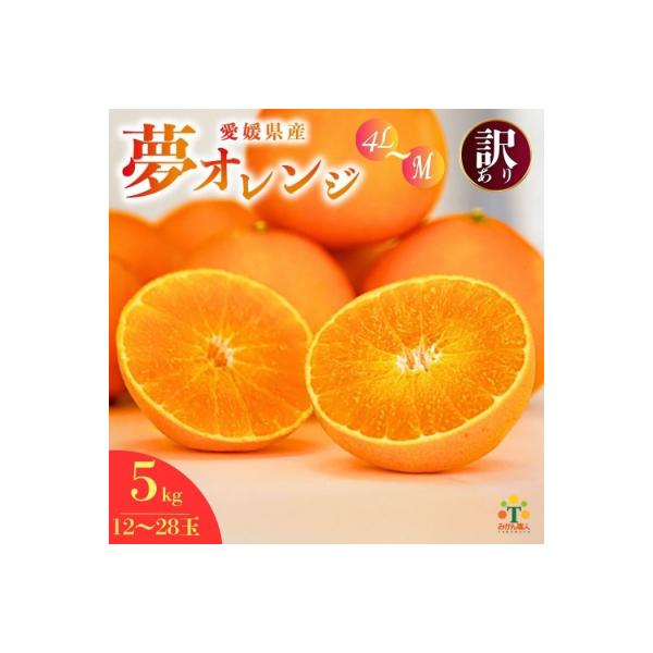 先行受付【紅まどんな と同品種】【訳あり】みかん職人の夢オレンジ5kg 夢おれんじ みかん職人武田屋