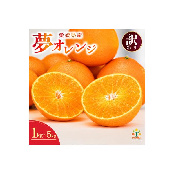 先行受付【訳あり】みかん職人の夢オレンジ3kg 夢おれんじ みかん職人武田屋