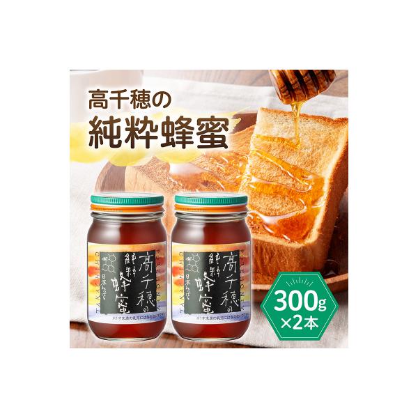 ふるさと納税 高千穂町 日本みつばち 高千穂の純粋蜂蜜 300g×2本